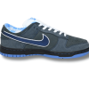 Nike Dunk SB Low Blue Lobster 2009 3