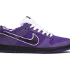 Nike SB Dunk Low Concepts Purple Lobster