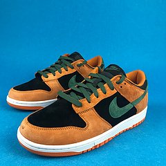 Nike Dunk Low Ceramic 13