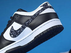 Nike Dunk Low Essential Paisley Pack Black 9