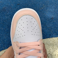 Nike Dunk Low Move To Zero Pale Coral 15