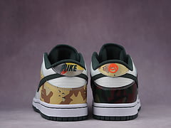 Nike Dunk Low SE Sail Multi Camo 4