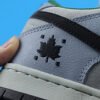 Nike Dunk SB Low Maple Leaf Central Park 12