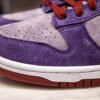 Nike Dunk SB Plum 12