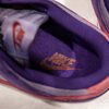 Nike Dunk SB Plum 13