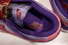 Nike Dunk SB Plum 13