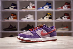 Nike Dunk SB Plum 14