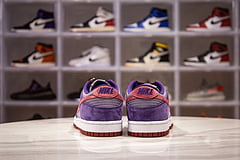 Nike Dunk SB Plum 15