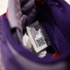 Nike Dunk SB Plum 17