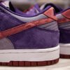 Nike Dunk SB Plum 19