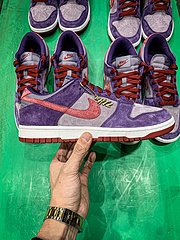 Nike Dunk SB Plum 20