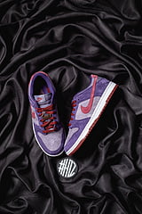 Nike Dunk SB Plum 21