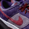 Nike Dunk SB Plum 22