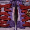 Nike Dunk SB Plum 3