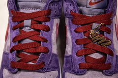 Nike Dunk SB Plum 3