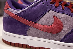 Nike Dunk SB Plum 4