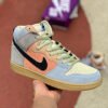 Nike SB Dunk High Spectrum 2