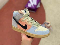 Nike SB Dunk High Spectrum 2