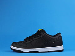 Nike SB Dunk Low Civilist 3