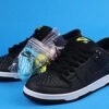 Nike SB Dunk Low Civilist 9