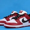 Nike SB Dunk Low J Pack Chicago 10