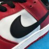 Nike SB Dunk Low J Pack Chicago 19