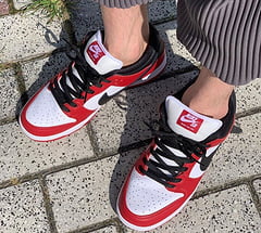 Nike SB Dunk Low J Pack Chicago 3