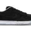 Nike SB Dunk Low Medicom Toy