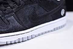 Nike SB Dunk Low Medicom Toy 2