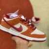 Nike SB Dunk Low Pro Dark Russet Cedar 1