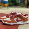 Nike SB Dunk Low Pro Dark Russet Cedar 20