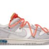 Shoes 1440 Nike Dunk Low Lot 31