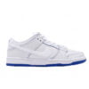 ipad nike sb dunk low pro premium white game royal 3