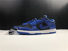 nike dunk hyper cobalt 2