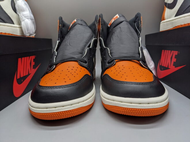 air Jordan 1 Retro Shattered Backboard - Image 2