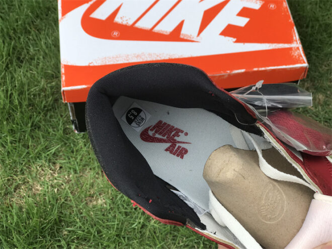 Air Jordan 1 High OG Chicago Lost and Found - Image 17