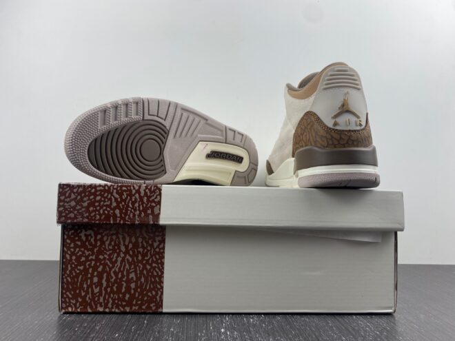 Air Jordan 3 Retro Palomino - Image 10