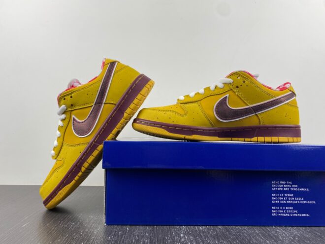 CNCPTS x Nike SB Dunk Low Yellow Lobster - Image 6