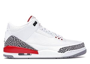 Air Jordan 3 Retro Hall of Fame|||||||