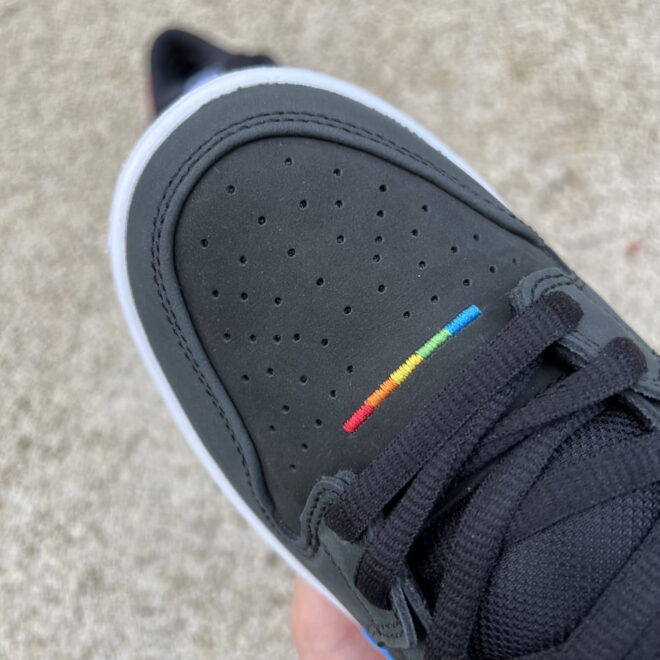 Polaroid x Nike SB Dunk Low - Image 13