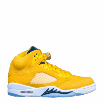 Jordan 5 Michigan PE
