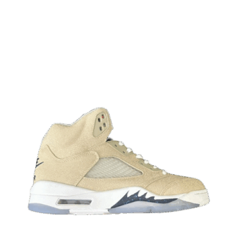 Jordan 5 Georgetown PE