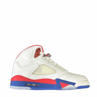 Jordan 5 Rip Hamilton PE